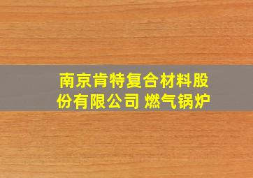 南京肯特复合材料股份有限公司 燃气锅炉